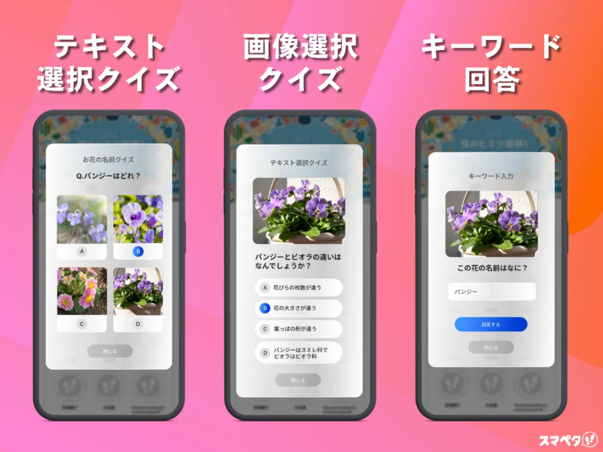 3つの出題スタイル