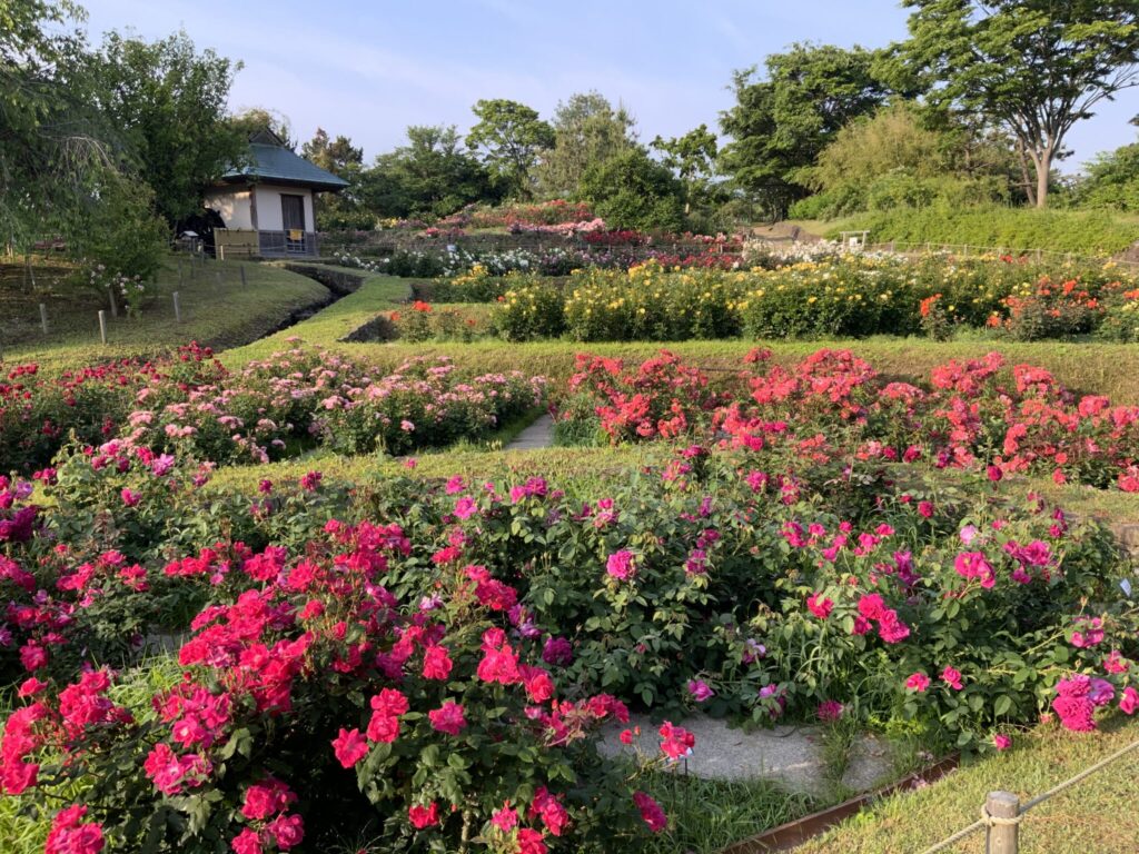 スタンプラリー参加施設 浜寺公園