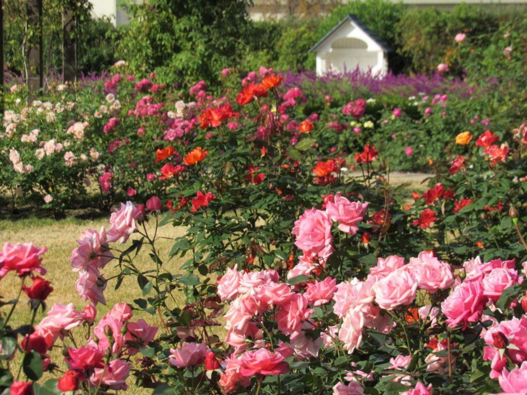 スタンプラリー参加施設 大津館